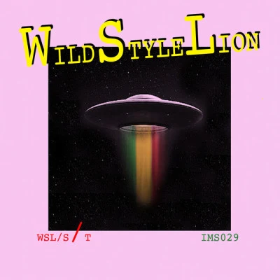 歌手 Wild Style LionKim Gordon