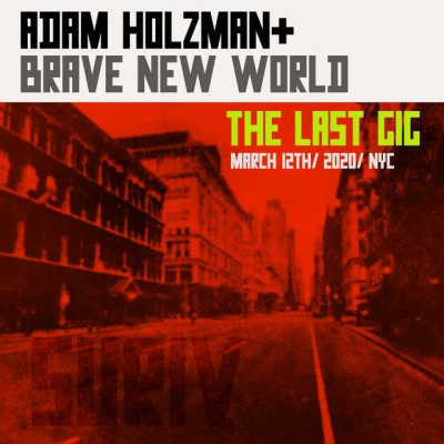 Adam Holzman & Brave New World 歌手