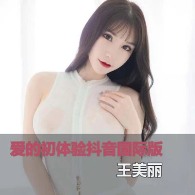 王美丽 歌手