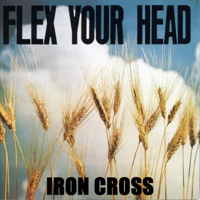 歌手 Iron Cross