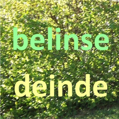 Belinse 歌手