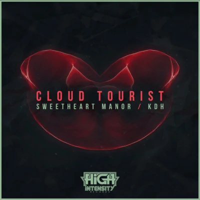 歌手 Cloud Tourist