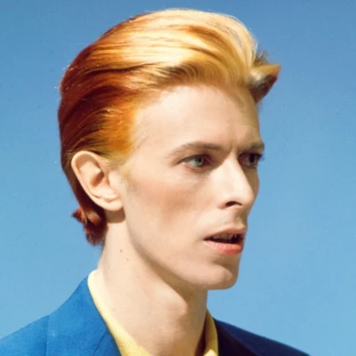 歌手 David Bowie