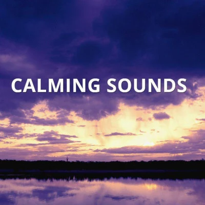 Calming Sounds 歌手