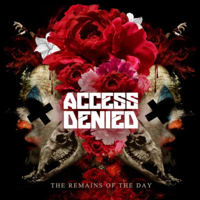 歌手 Access Denied