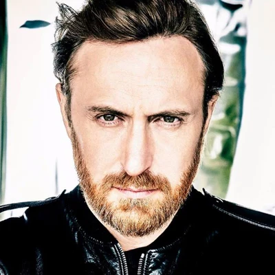 David Guetta 歌手