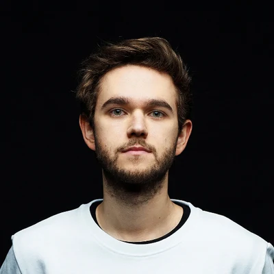 歌手 Zedd