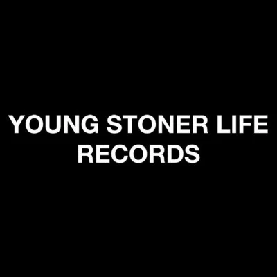 歌手 Young Stoner LifeYak GottiSheck WesYung Kayo