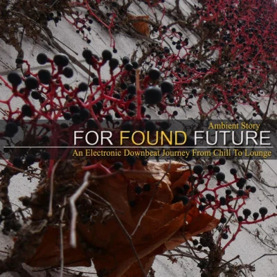 歌手 For Found Future