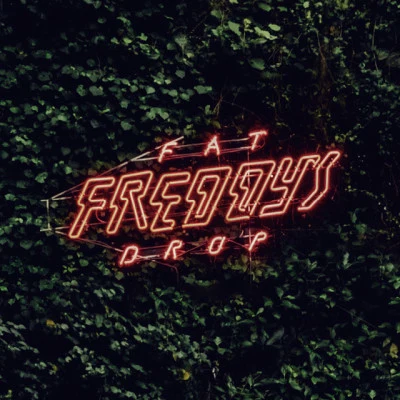 歌手 Fat Freddy's Drop