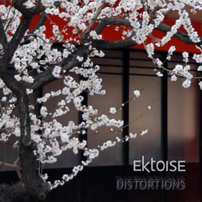 Ektoise 歌手