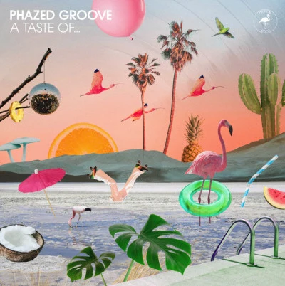 Phazed Groove 歌手