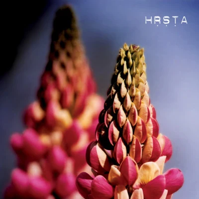 Hrsta 歌手