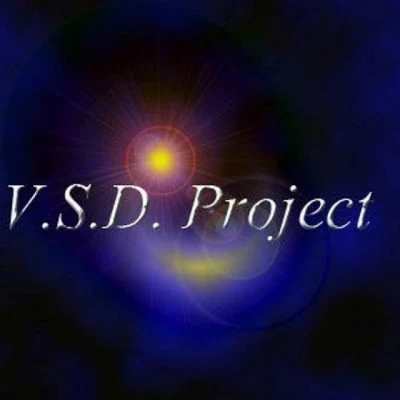 歌手 V.S.D. Project