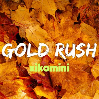 GOLD RUSH 歌手