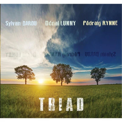 Sylvain Barou/Dónal Lunny/Pádraig Rynne Triad