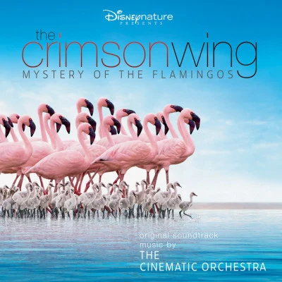 London Metropolitan Orchestra/Anne Sofie von Otter/Alexandre Desplat/Bengt Forsberg/Terry Davies Florence Foster Jenkins (Original Motion Picture Soundtrack)