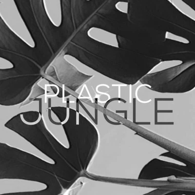 歌手 Plastic JungleODBLUTiny House