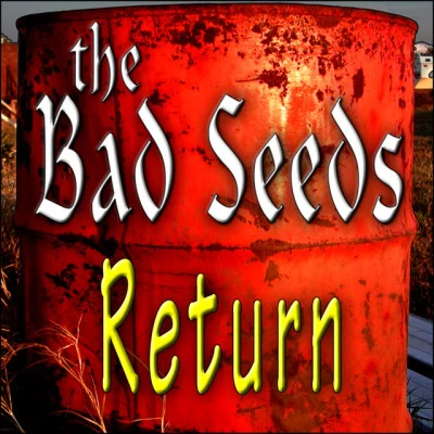 歌手 The Bad SeedsNick Cave