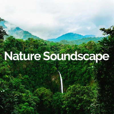 Nature Soundscape 歌手