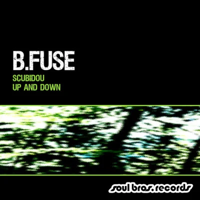 B.Fuse 歌手