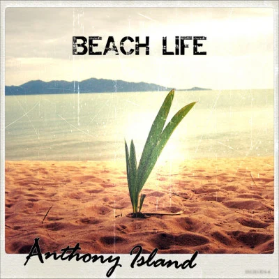 歌手 Anthony Island