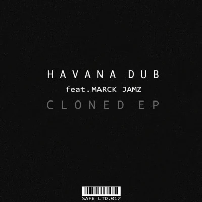 歌手 Havana Dub