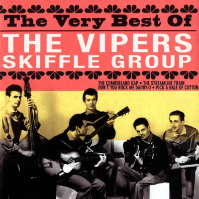 歌手 The Vipers Skiffle Group