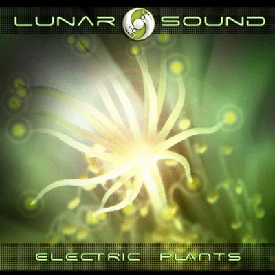 歌手 Lunar Sound