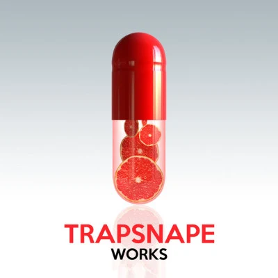 Trapsnape 歌手