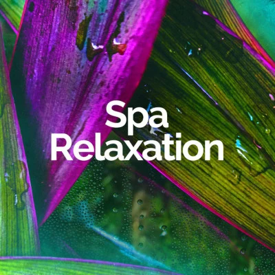 歌手 Spa RelaxationNature Sounds RadioRain Hard