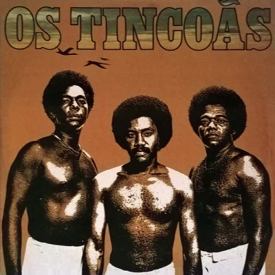 歌手 Os Tincoãs