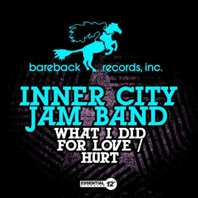 Inner City Jam Band 歌手