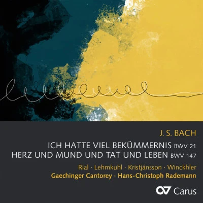 歌手 Matthias WinckhlerHans-Christoph RademannGaechinger Cantorey