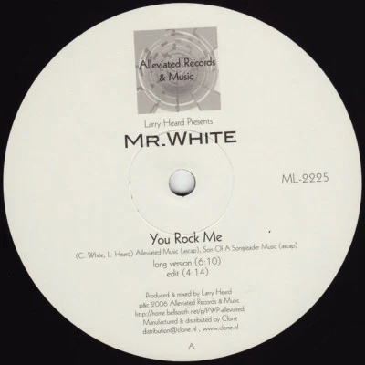 Mr White 歌手