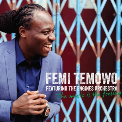 Femi Temowo 歌手