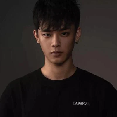 TAPANAL 歌手