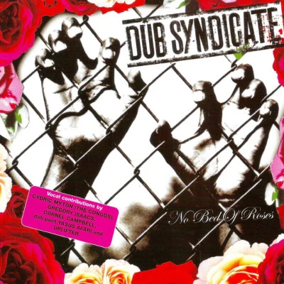 Dub Syndicate 歌手