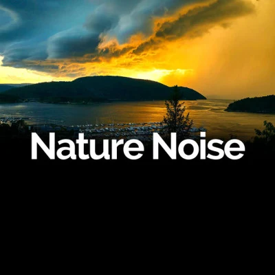 Nature Noise 歌手