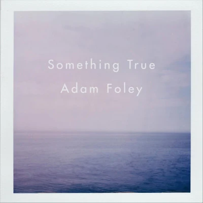 Adam Foley 歌手