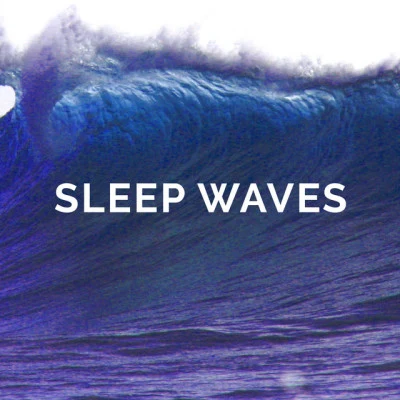 Sleep Waves 歌手