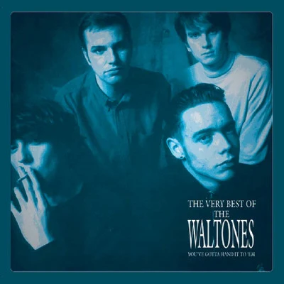 歌手 The Waltones