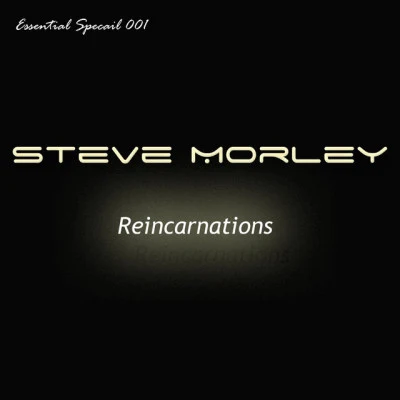 歌手 Steve Morley