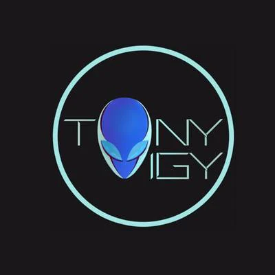 歌手 Tony Igy