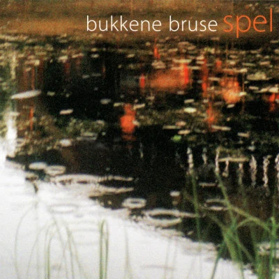 Bukkene Bruse 歌手