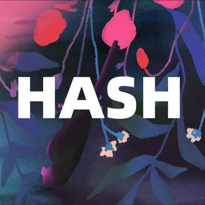 HASH樂隊 歌手