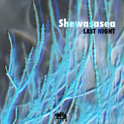 Shewasasea 歌手