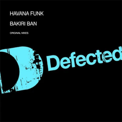 Havana Funk 歌手