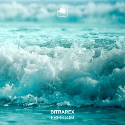 歌手 Bitrarex