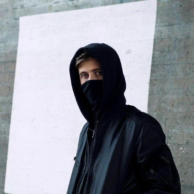 Alan Walker 歌手